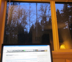 computer_window_trees_evening_2013_03_23